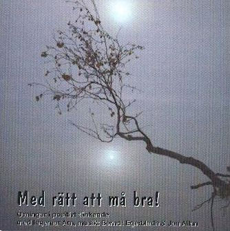 bernt egerbladh bernt egerbladh