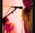 Wildbirds & Peacedrums (FOTO)